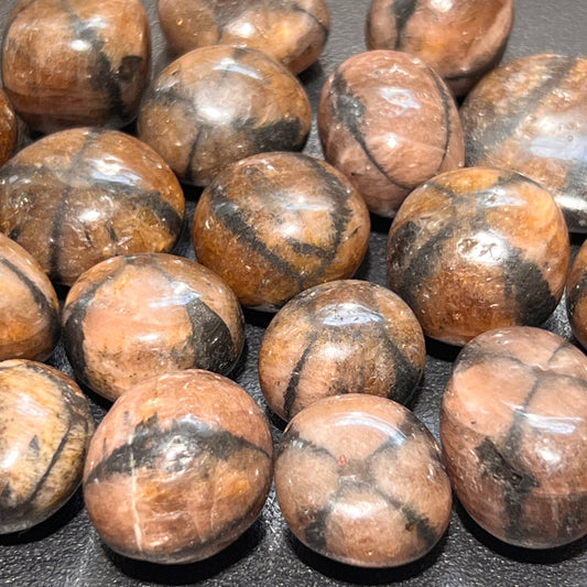 Chiastolite (Fairy Cross Stone) Tumbled (1 LB) One Pound Bulk Wholesale Lot Polished Gemstones