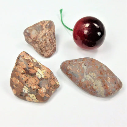 Leopard Skin Jasper (3 Pcs) Tumbled Gemstones