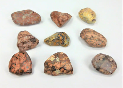 Leopard Skin Jasper Tumbled (1/2 lb)(8oz) Bulk Wholesale Lot Half Pound Polished Stones