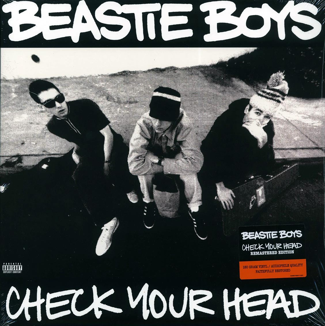 The Beastie Boys - Check Your Head (2xLP) (180g) (audiophile)