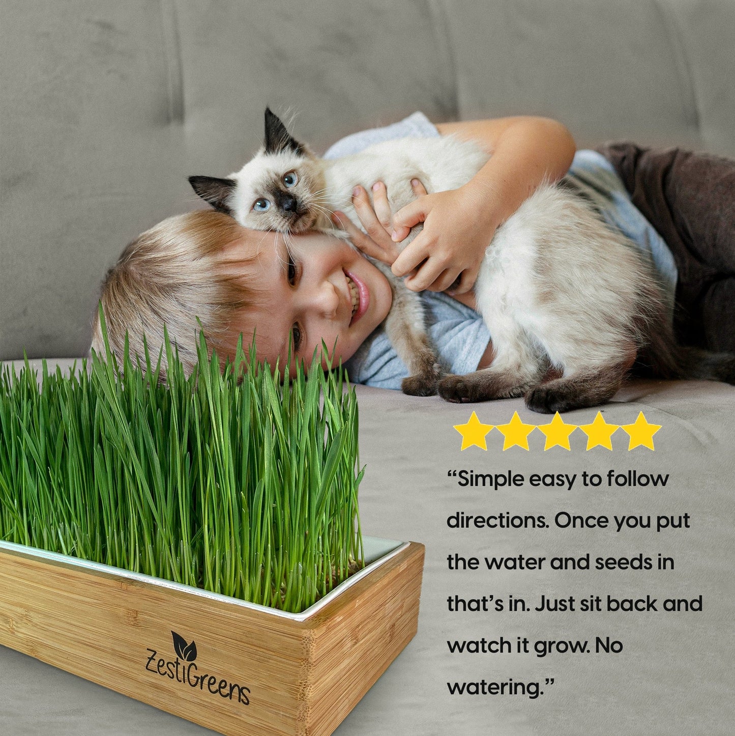 Self Watering Cat Grass Kit. Hands Down The Easiest Way to Grow Cat Grass. Everything Included to Grow 10 Large Crops of Delicious Cat Grass in Just 6 Days!.