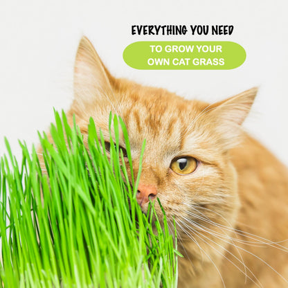 Cat Grass Growing Kit with 3 Mini Wooden Planters, Certified Organic Seeds and Soil.