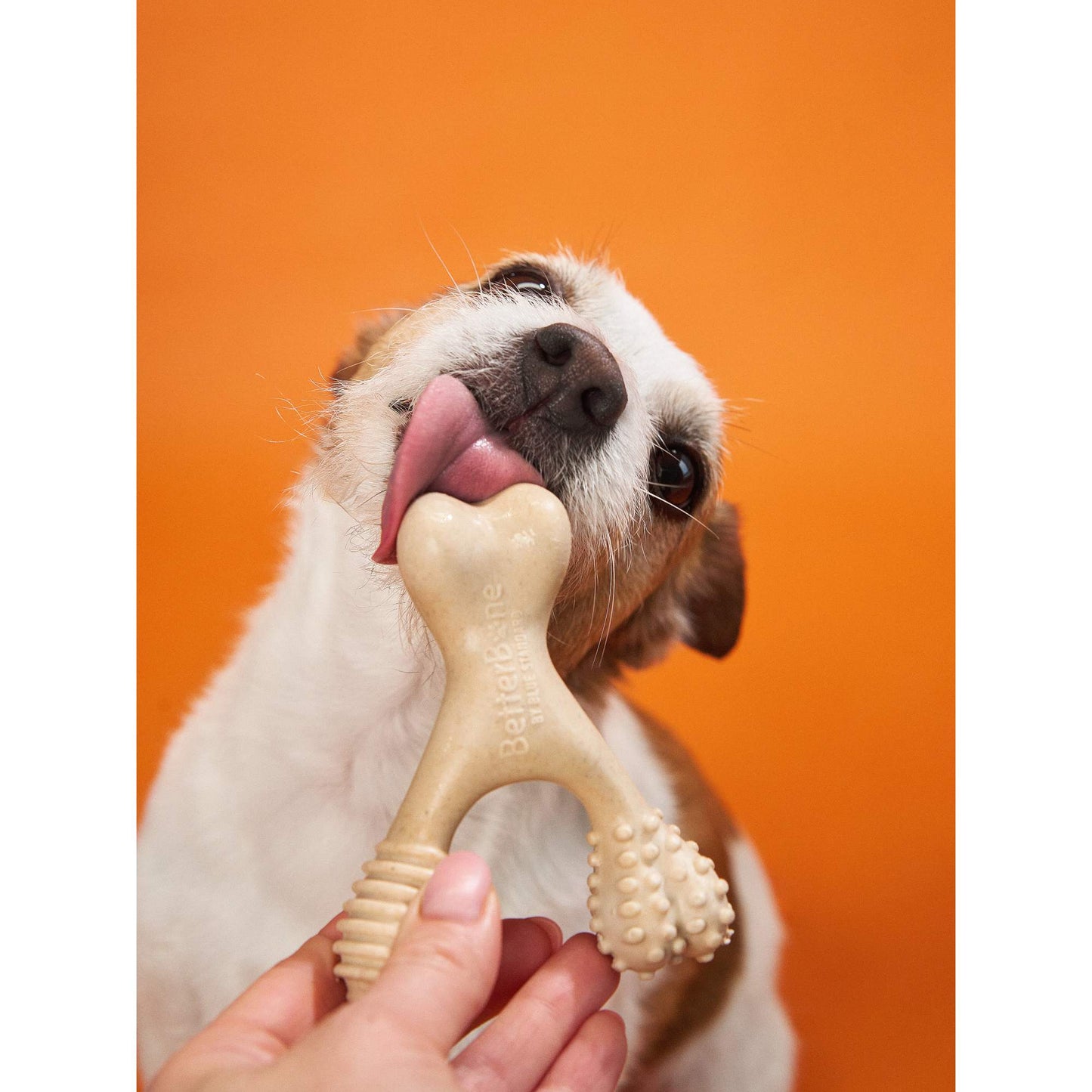 BetterBone Hard Density- Tough, SUPER Durable All-Natural, Dog Chews - For Aggressive Chewers.