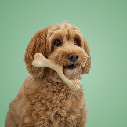 BetterBone Medium Density- Perfect for medium to strong chewers! Natural, healthier, safer.