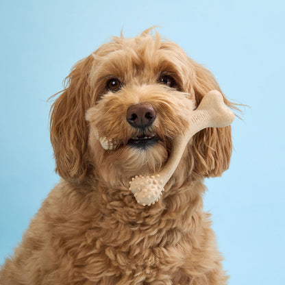 BetterBone SOFT Density-All-Natural, Perfect for teething Puppies, Older dogs, LIGHT chewers