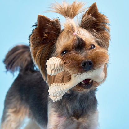 BetterBone SOFT Density-All-Natural, Perfect for teething Puppies, Older dogs, LIGHT chewers