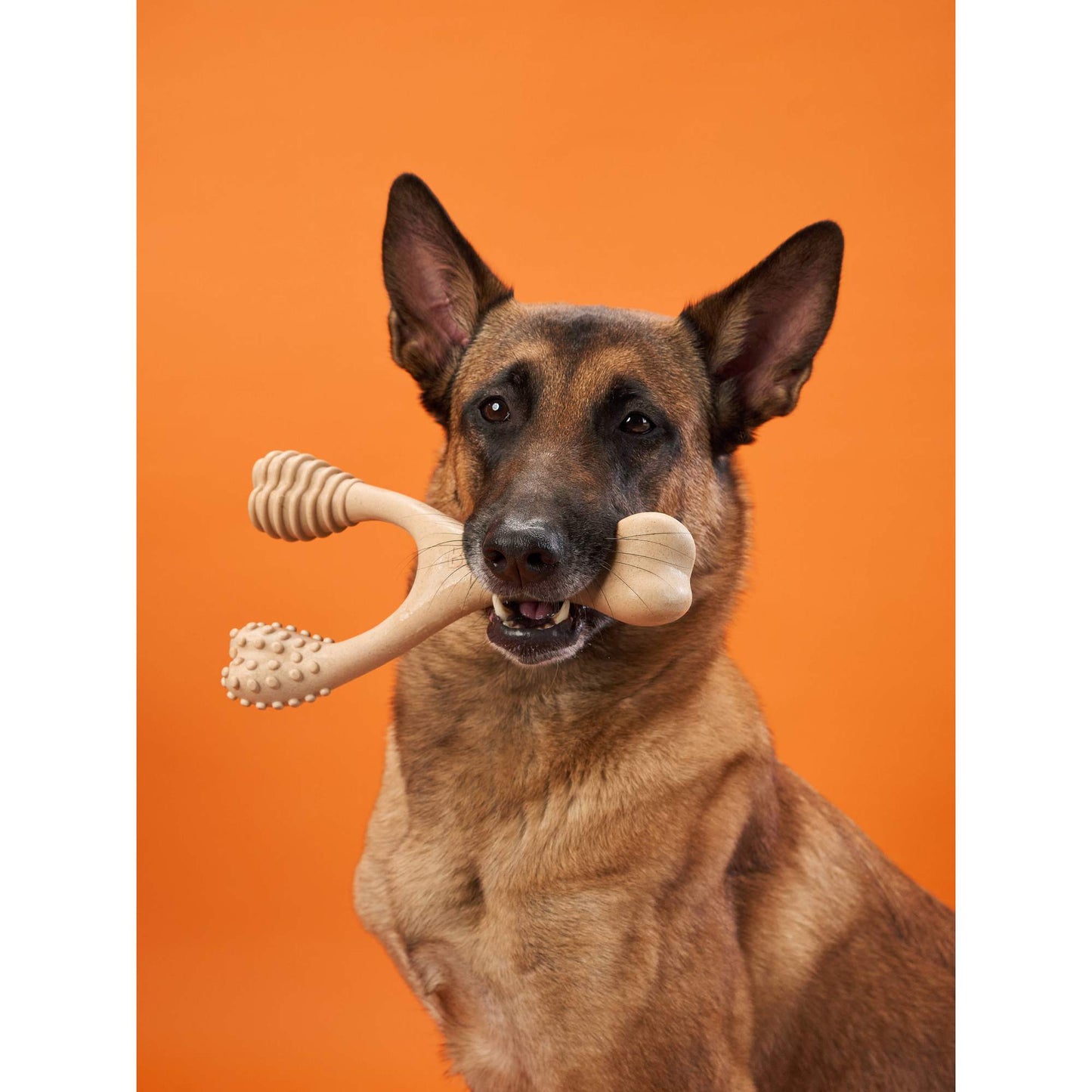 BetterBone Hard Density- Tough, SUPER Durable All-Natural, Dog Chews - For Aggressive Chewers.