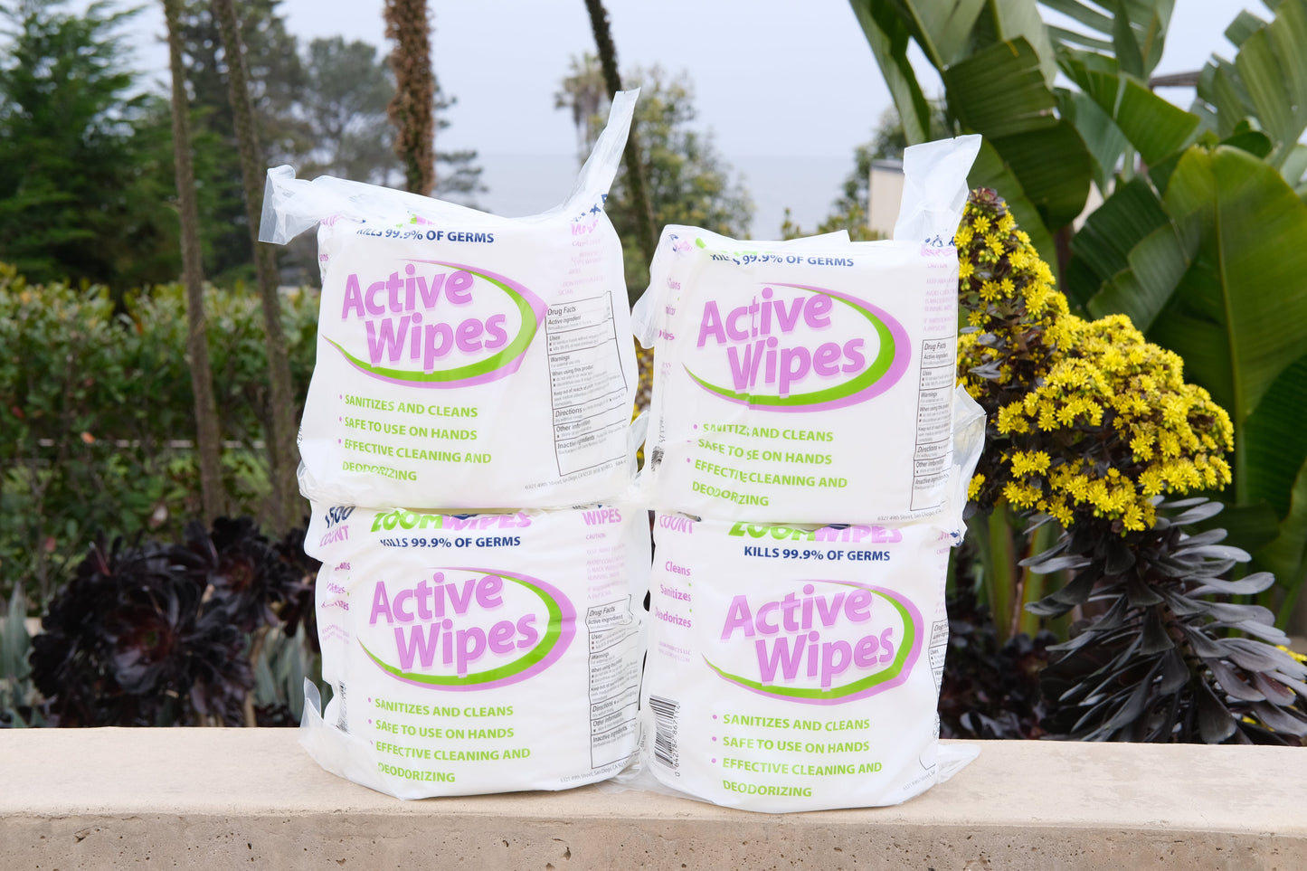 Quick Sanitizing "Active" Wipes Case