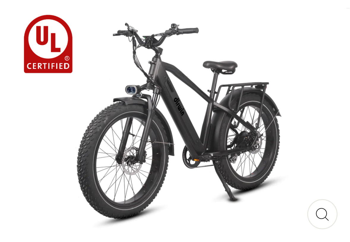 Dirwin Pioneer Fat Tire E-Bike