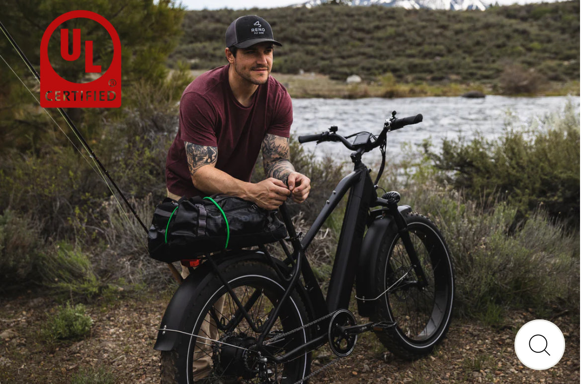 Dirwin Pioneer Fat Tire E-Bike