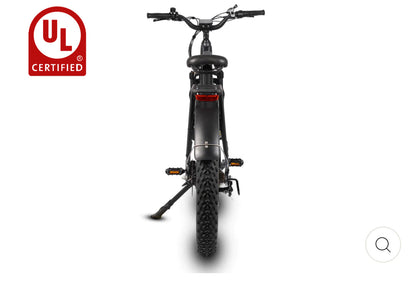 Dirwin Pioneer Fat Tire E-Bike