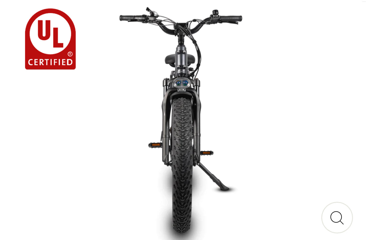 Dirwin Pioneer Fat Tire E-Bike