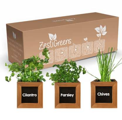 Herb Kit with Cilantro, Parsley & Chives Seeds