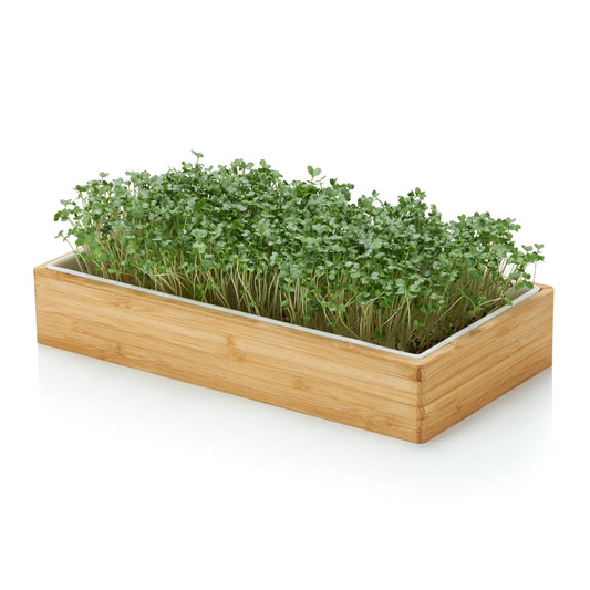 Microgreens Additional Product 2