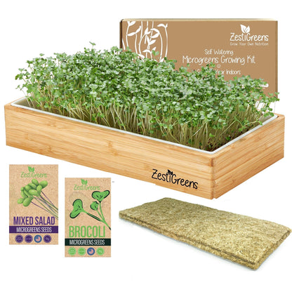 Microgreens Growing Kit Self Watering - Includes Microgreens Tray, 2 pkts of Microgreens Seeds, 2 Mats and Bamboo Surround. No Soil Needed. Easy to Set up. Sprouting Kit that water once. Guaranteed to Grow.