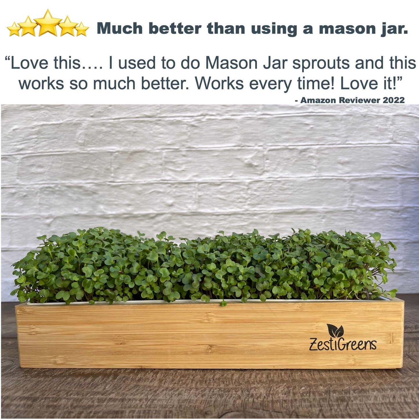 Microgreens Growing Kit Self Watering - Includes Microgreens Tray, 2 pkts of Microgreens Seeds, 2 Mats and Bamboo Surround. No Soil Needed. Easy to Set up. Sprouting Kit that water once. Guaranteed to Grow.