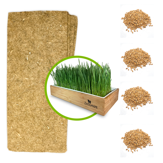 Self Watering Kit Cat Grass Kit REFILLS only