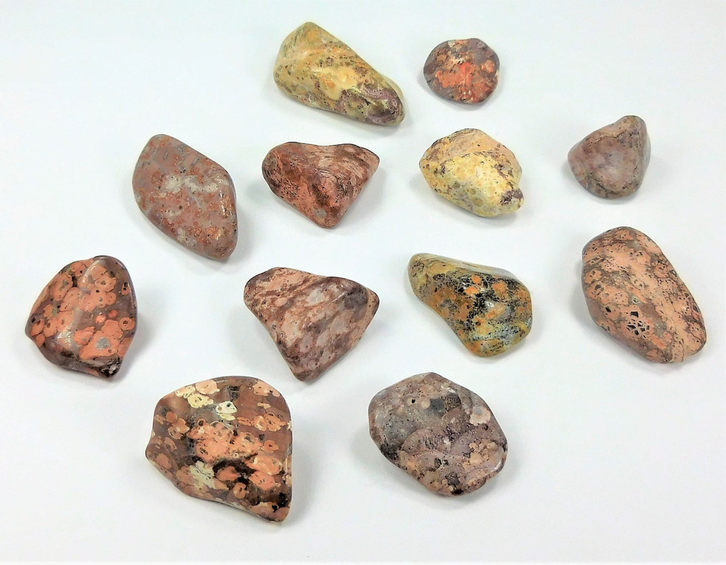 Leopard Skin Jasper Tumbled (1/2 lb)(8oz) Bulk Wholesale Lot Half Pound Polished Stones