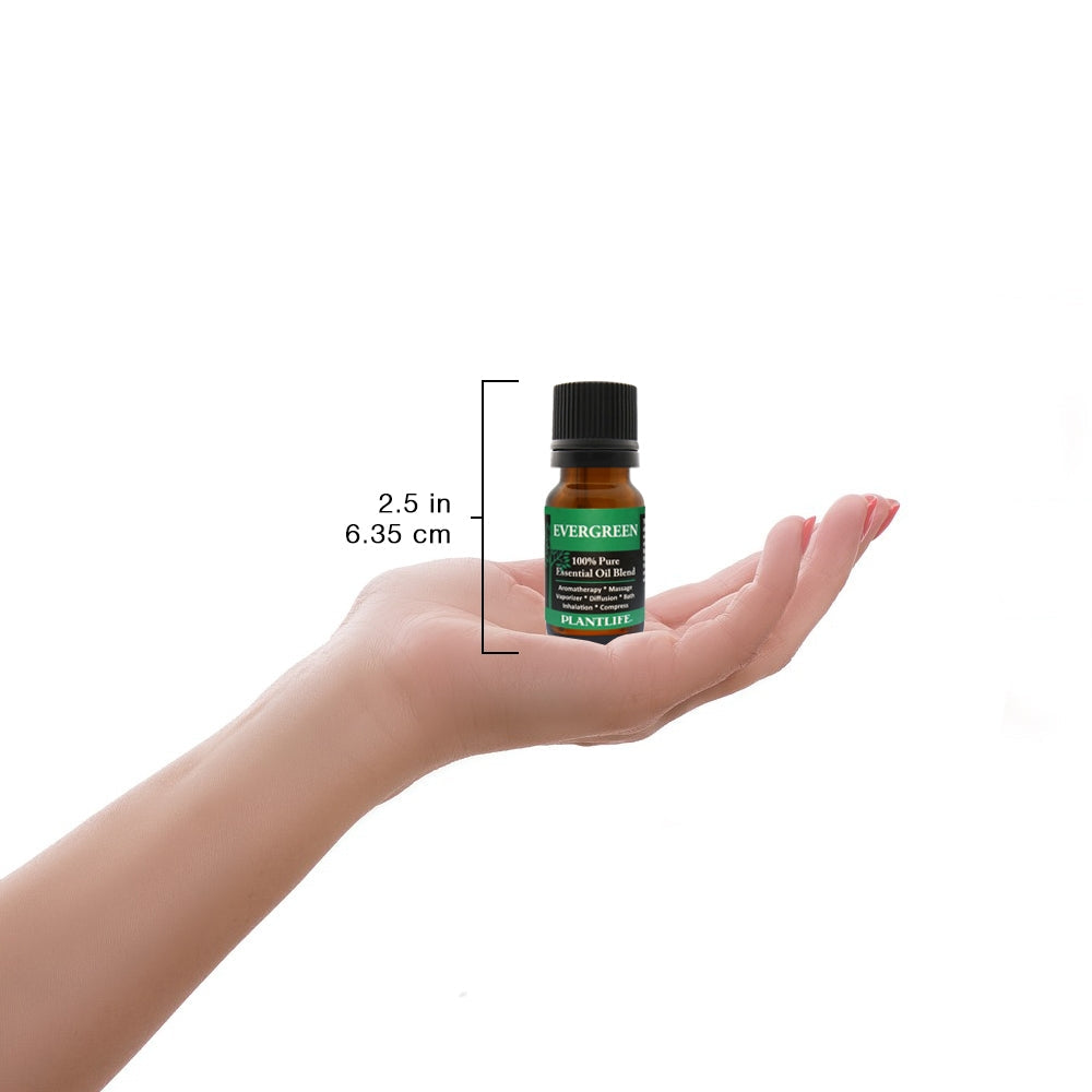 Evergreen Essential Oil Blend