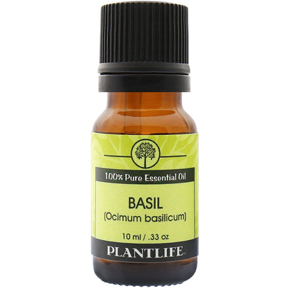 Basil Essential Oil