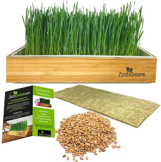 Self Watering Cat Grass Kit. Hands Down The Easiest Way to Grow Cat Grass. Everything Included to Grow 2 Large Crops of Delicious Cat Grass.