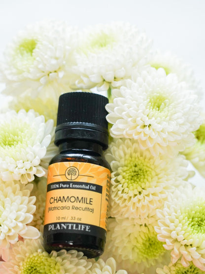 Chamomile Essential Oil