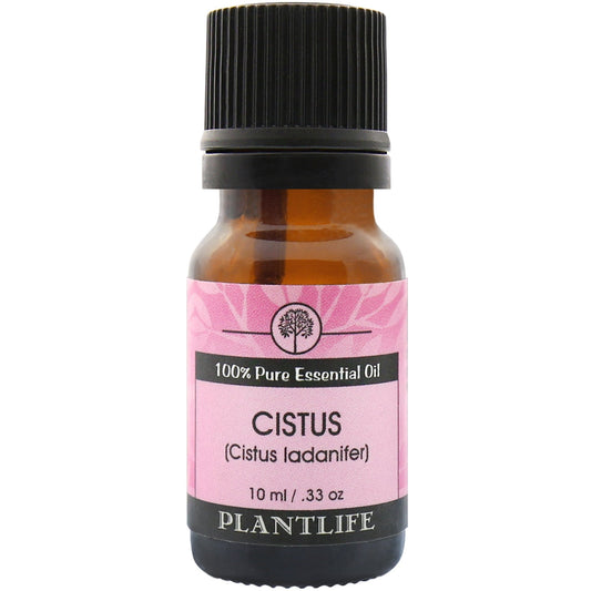 Cistus Essential Oil