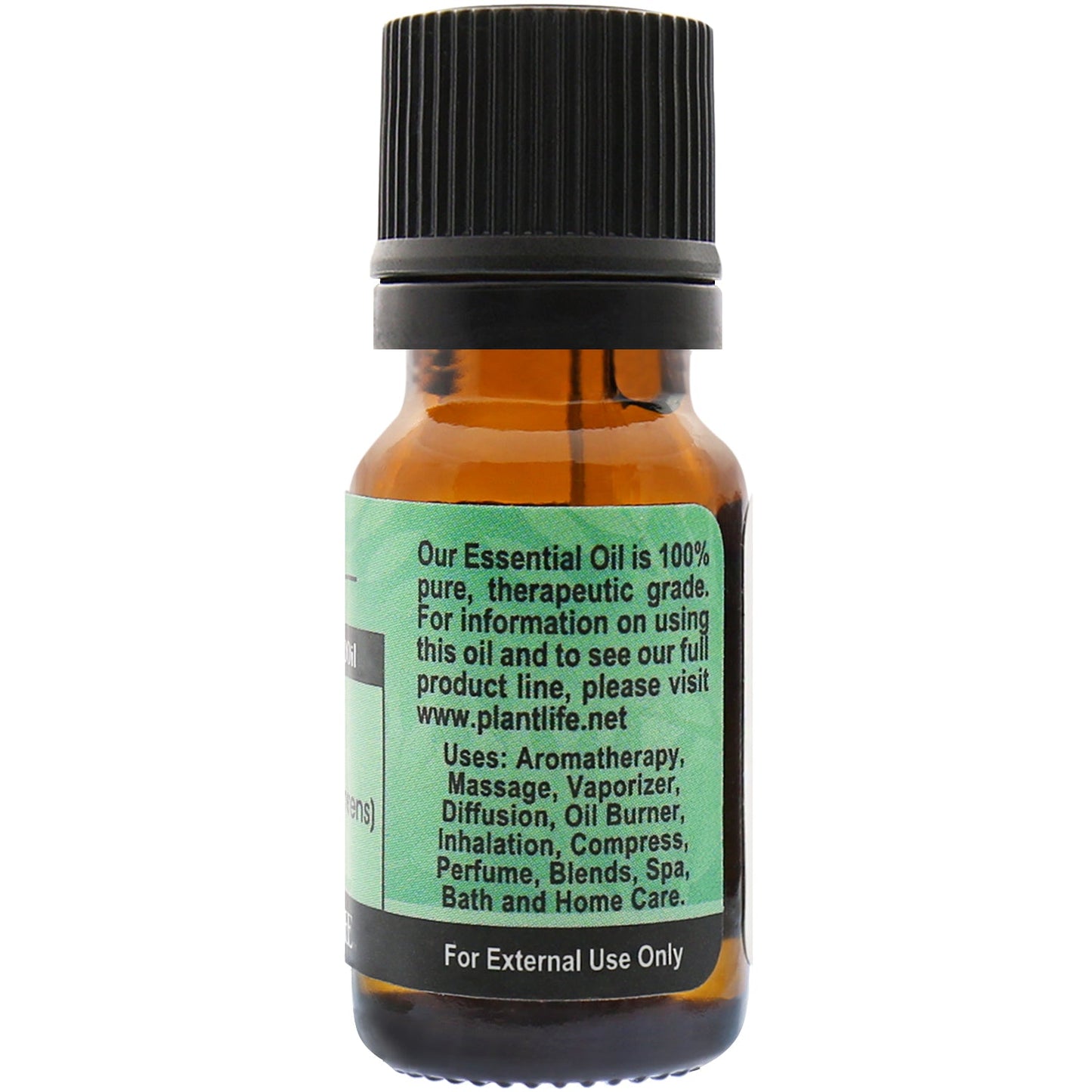 Cypress Essential Oil