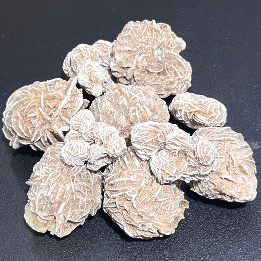 Desert Rose Selenite Crystals Rough (1 LB) One Pound Bulk Wholesale Lot Raw Gemstones