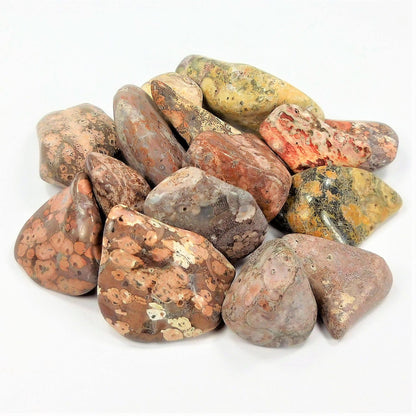 Leopard Skin Jasper Tumbled (1/2 lb)(8oz) Bulk Wholesale Lot Half Pound Polished Stones