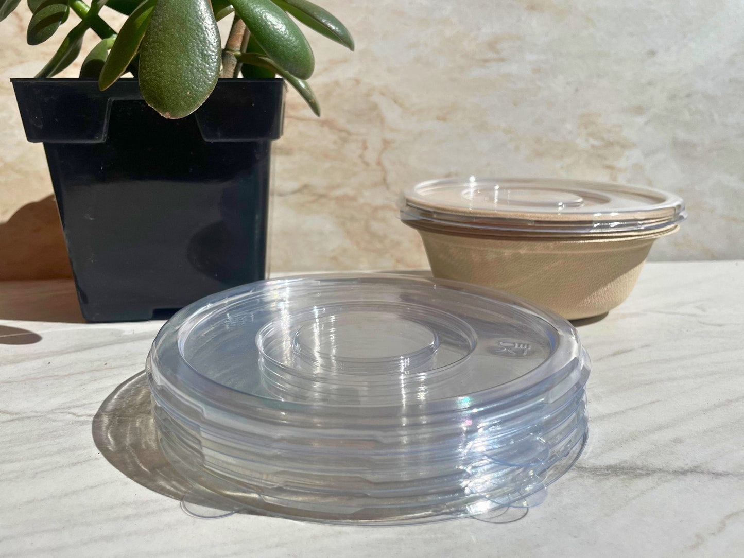 EarthTainer - Clear Bowl Lid 16oz - 500ct - Compostable Certified