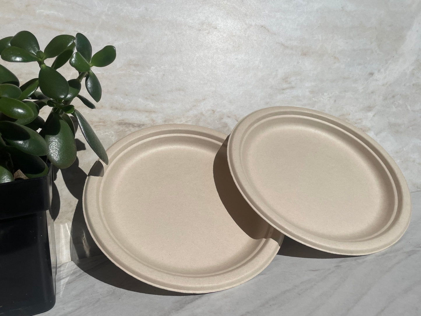 EarthTainer - Plates 10" & 11" - 500ct -Compostable Certified