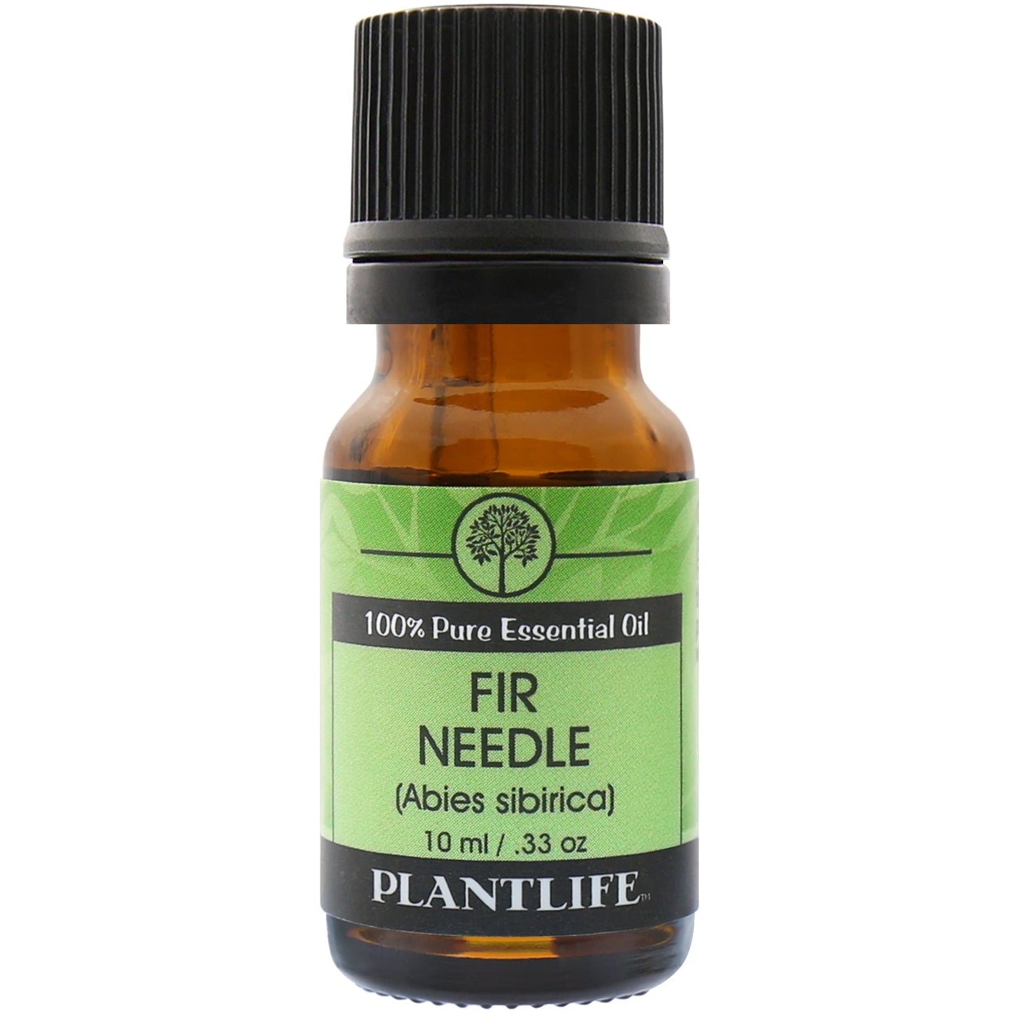 Fir Needle Essential Oil