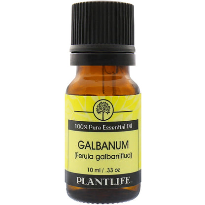 Galbanum Essential Oil