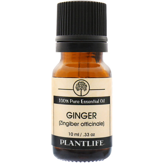 Ginger Essential Oil