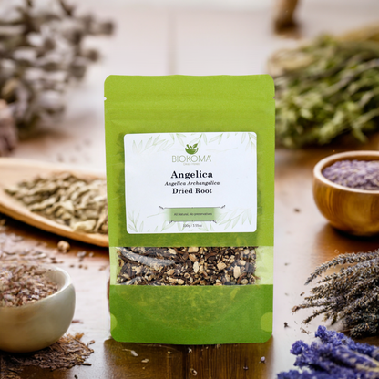 Angelica Root (Angelica Archangelica) Dried Root 100g 3.55oz