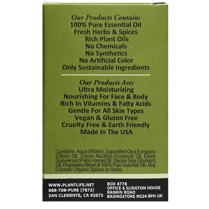 Green Tea Travel Size Bar Soap