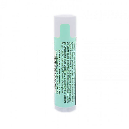 Herbal Lip Balm