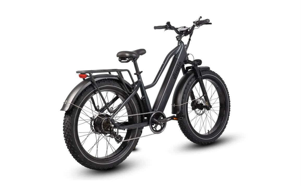 Dirwin Pioneer Step Thru Fat Tire E-Bike