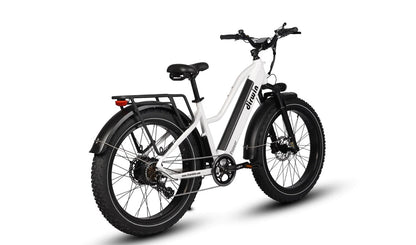 Dirwin Pioneer Step Thru Fat Tire E-Bike