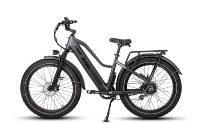 Dirwin Pioneer Step Thru Fat Tire E-Bike