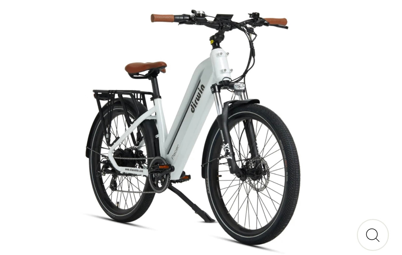 Dirwin Pacer Commuter E-Bike