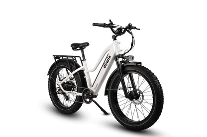 Dirwin Pioneer Step Thru Fat Tire E-Bike