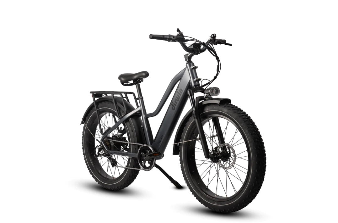 Dirwin Pioneer Step Thru Fat Tire E-Bike