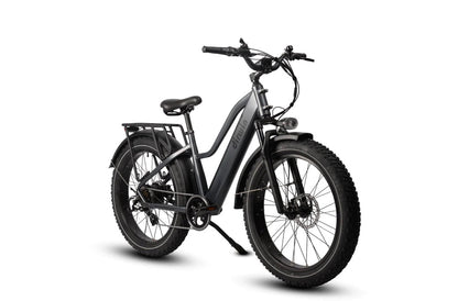 Dirwin Pioneer Step Thru Fat Tire E-Bike