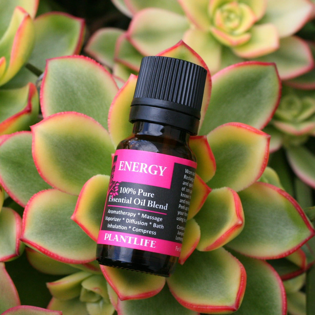 Energy Essential Oil Blend