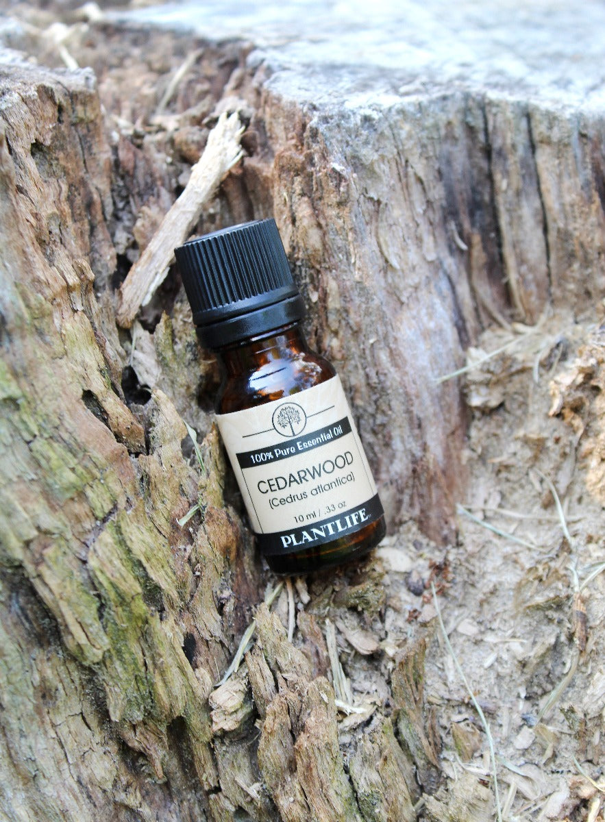 Cedarwood Essential Oil