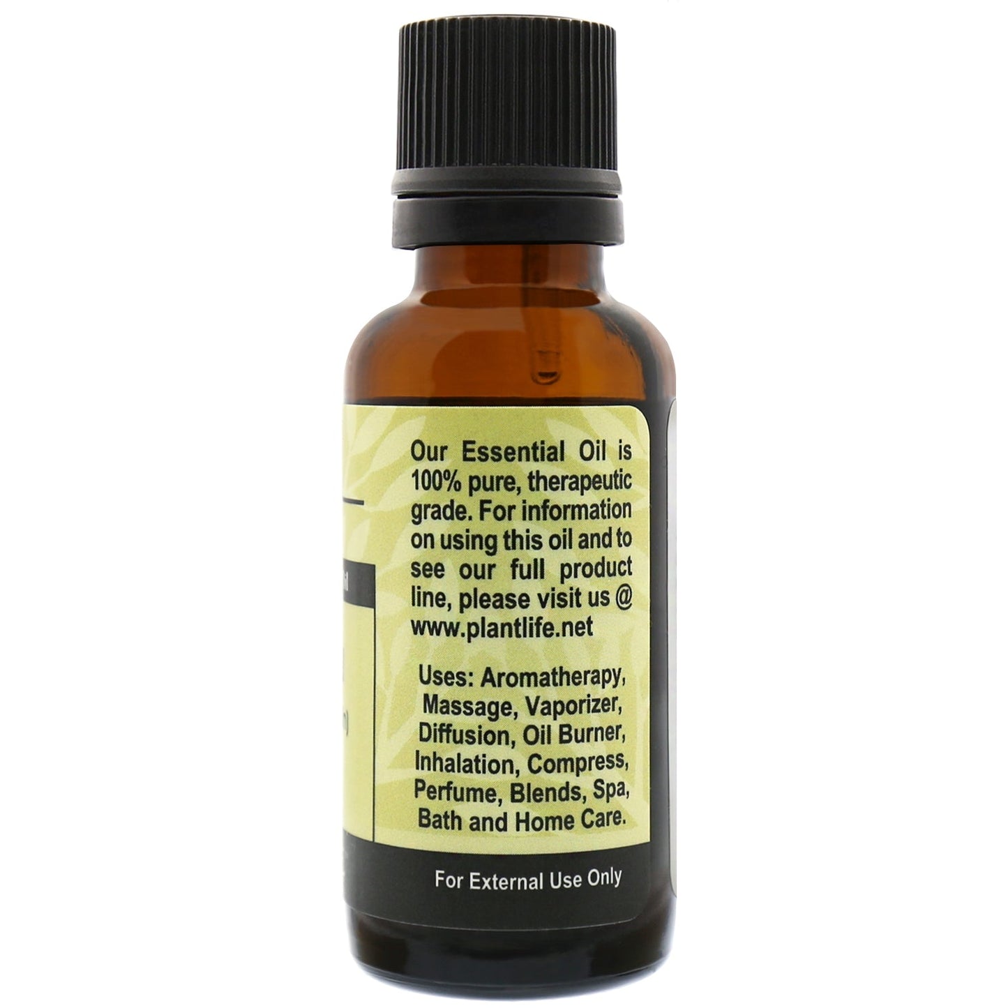 Patchouli Essential Oil