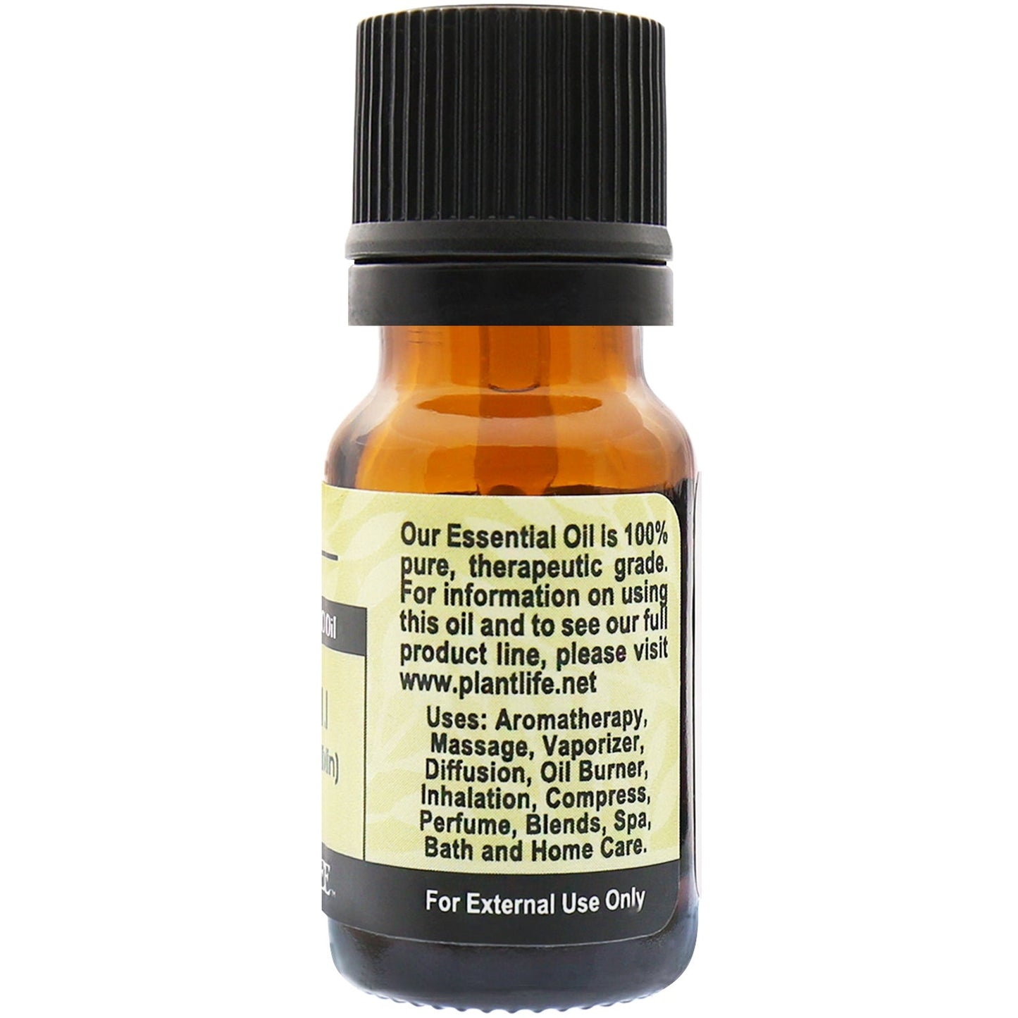 Patchouli Essential Oil