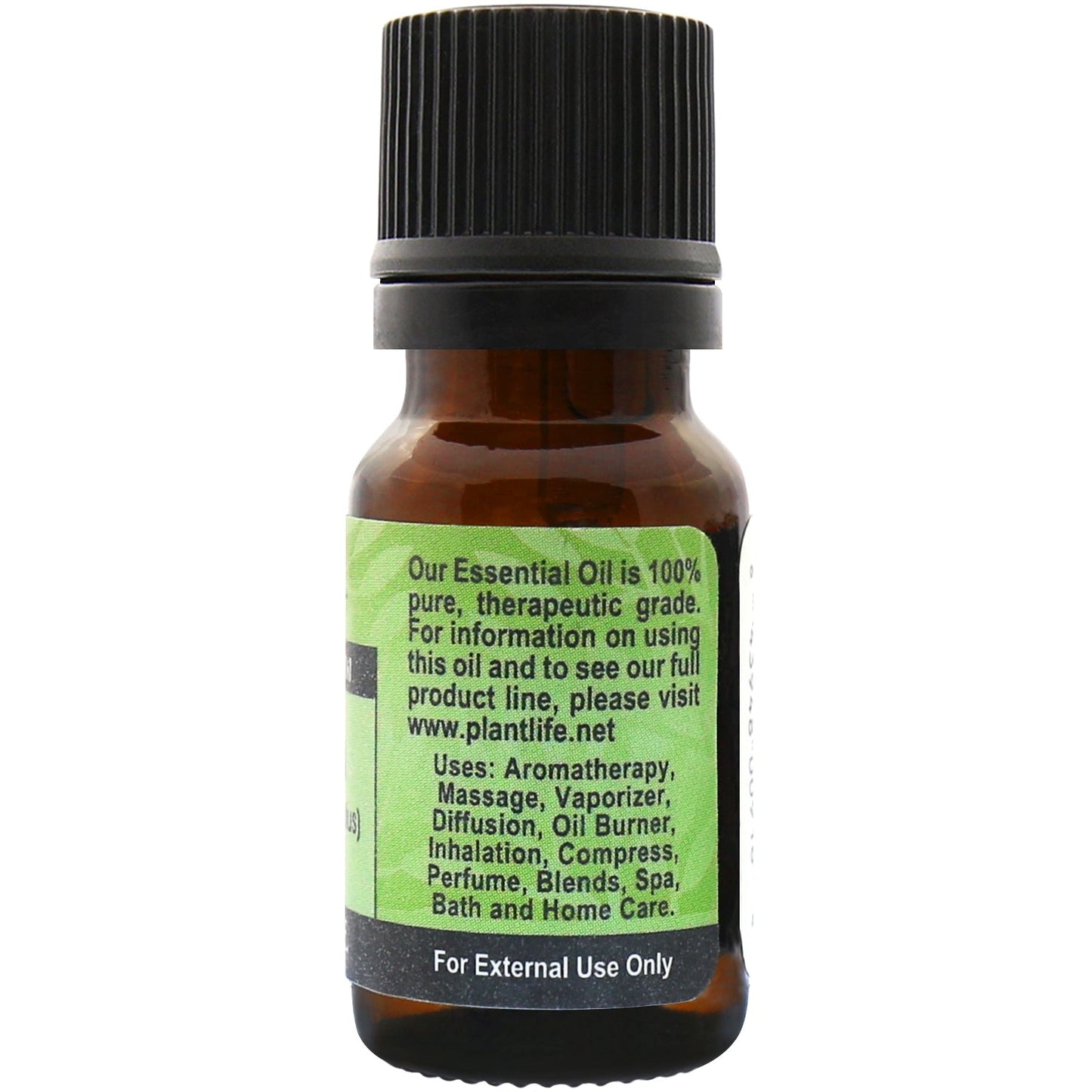 Tarragon Essential Oil